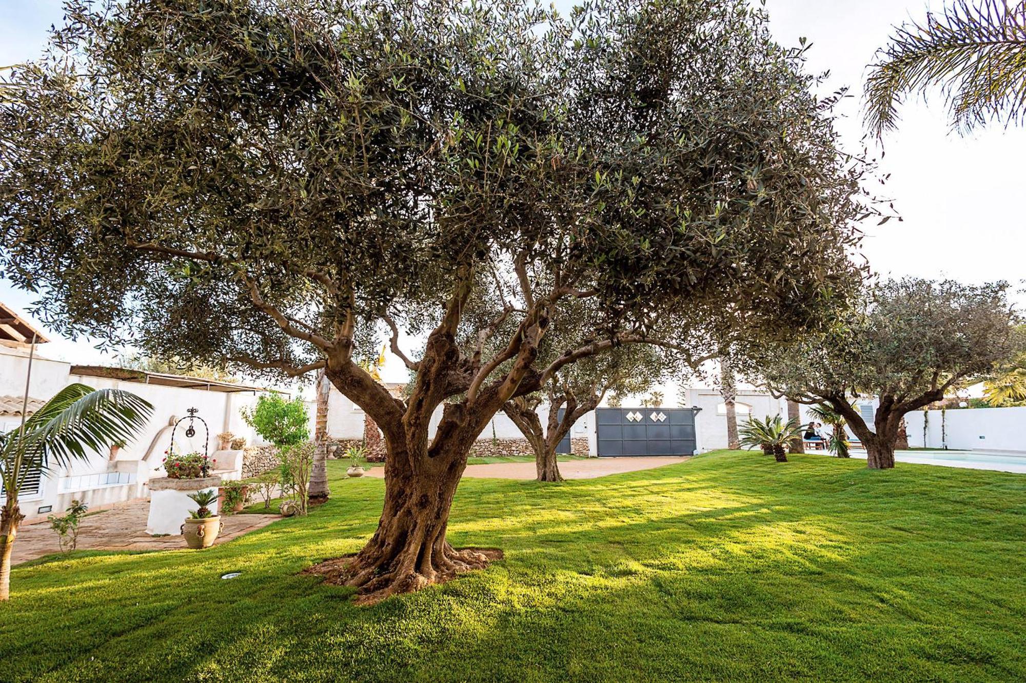 Ferienwohnung Casa Marsala Exterior foto